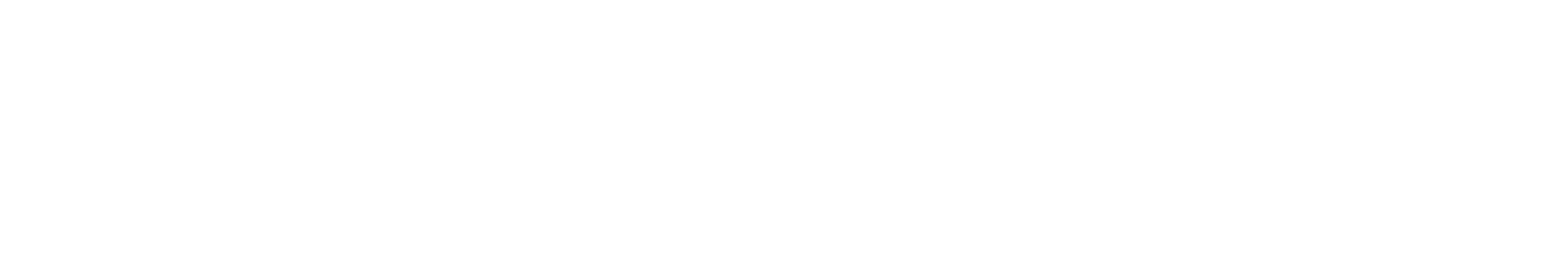 SprintWise Logo